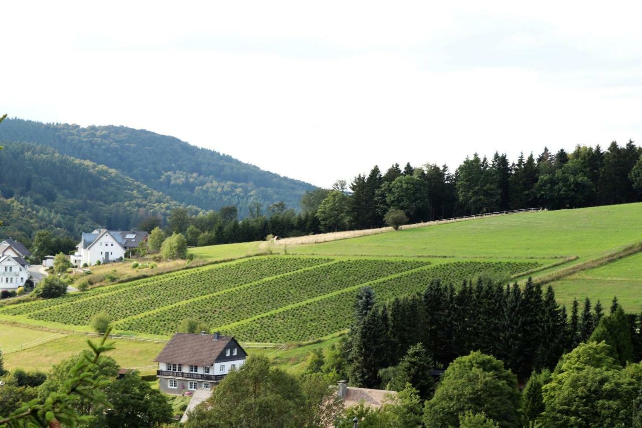 Hotel Gretel Von Birne Winterberg Exteriér fotografie